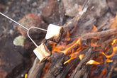 Wildtrak™  86cm Twin Prong Extendable Campfire Fork with Handle - Cook Snags and Marshmallows