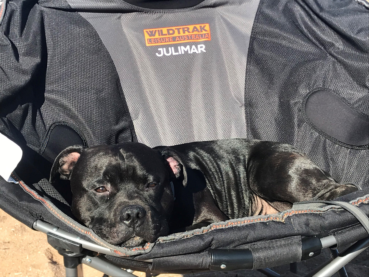 WILDTRAK™ Julimar Comfort Moon Chair, Fully Cushioned Seat, Oversized, Quad Folding, Weight Rating 120kg, Carry Bag with Shoulder Strap