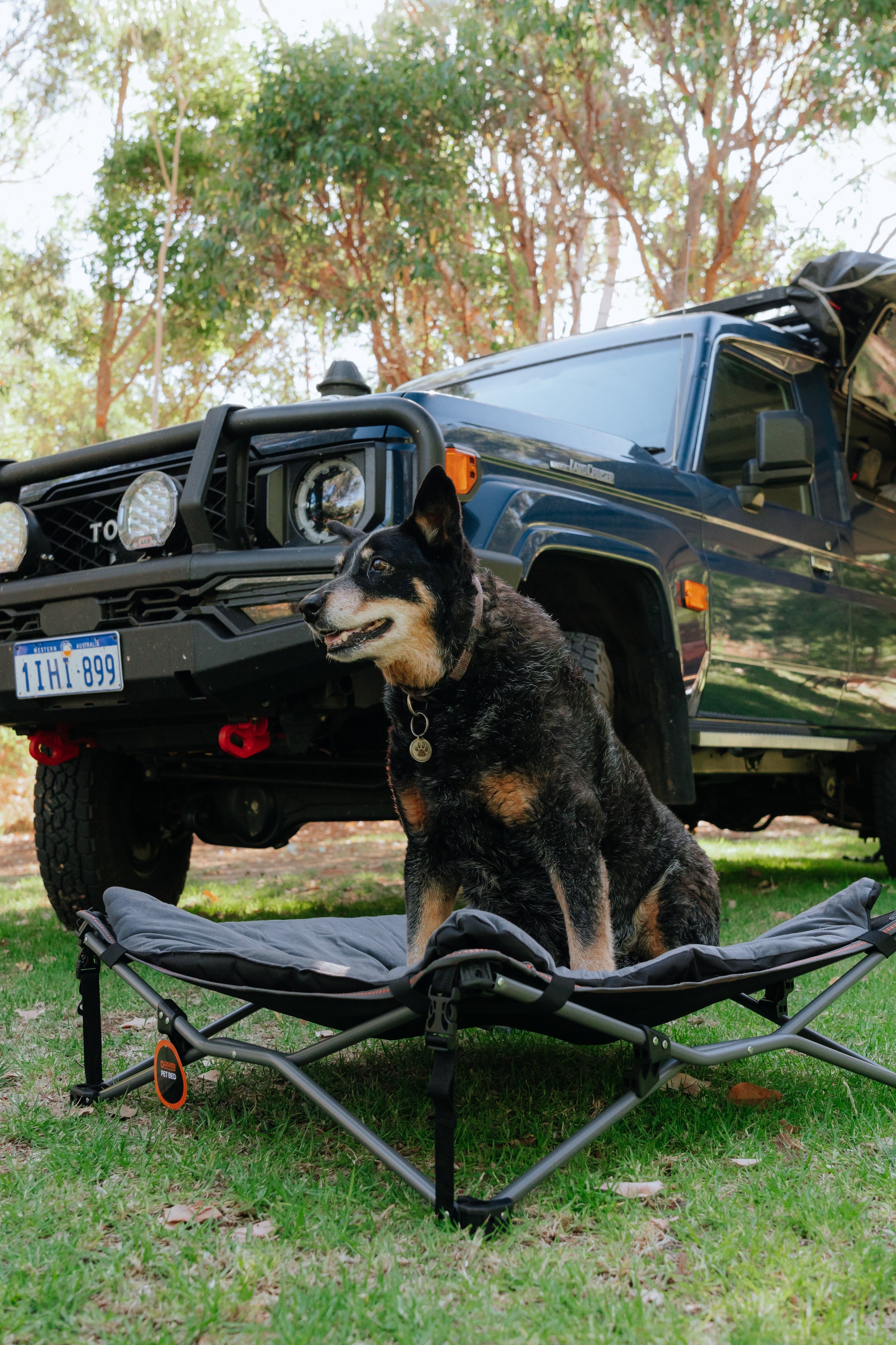 WILDTRAK™ Folding Deluxe Pet & Dog Bed (for Home or Camping), Washable Cover, Carry Bag with Shoulder Strap, 60KG Rating