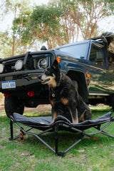 WILDTRAK™ Folding Deluxe Pet & Dog Bed (for Home or Camping), Washable Cover, Carry Bag with Shoulder Strap, 60KG Rating