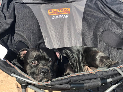 WILDTRAK™ Julimar Comfort Moon Chair, Fully Cushioned Seat, Oversized, Quad Folding, Weight Rating 120kg, Carry Bag with Shoulder Strap